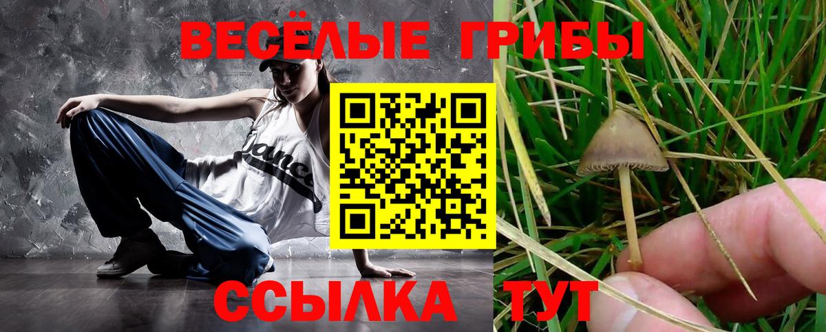 Омск  Псилоцибиновые грибы ЛСД  Галлюциногенные грибы мицелий  Вход с VPN 